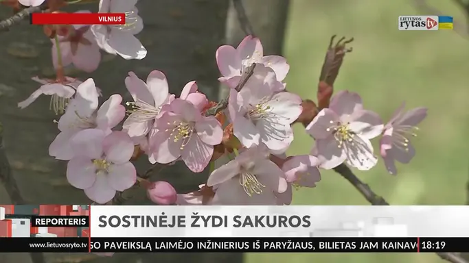 „Reporteris“ 2026-04-15 trečiadienis